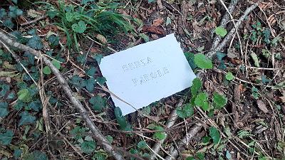 PAROLA PER PAROLA (24)